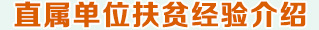 直屬單位扶貧經驗介紹