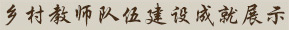 鄉村教師隊伍建設成就展示