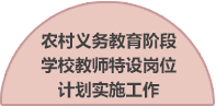 農村義務教育階段學校教師特設崗位計劃實施工作
