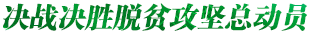 決戰決勝脫貧攻堅總動員