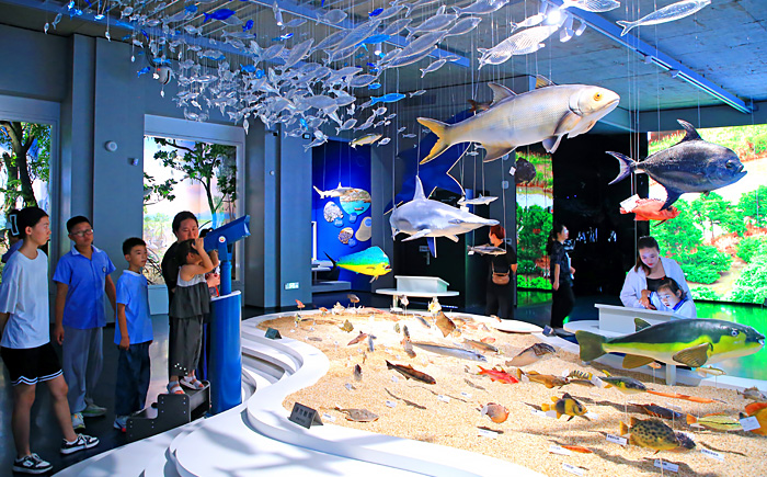 “花式”過暑假