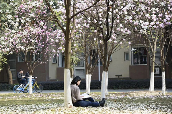 電子科技大學：春和景明好時光，成電無處不書香！