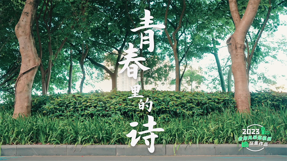 青春里的詩