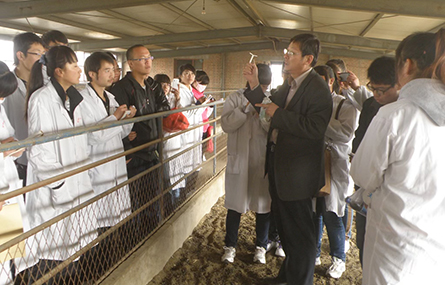 為鄉村振興培養高素質技術人才——記寧夏職業技術學院研究員許斌