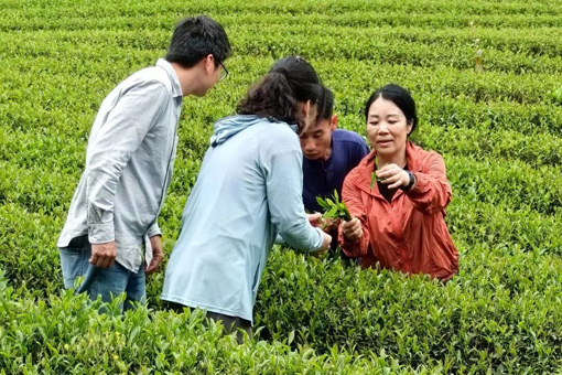 扛鋤頭，下田地！她帶領學生把科學技術送到田間地頭的“最后一公里”