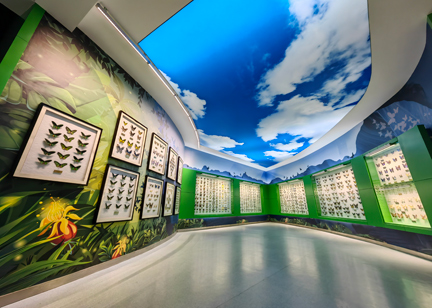 西北農林科技大學昆蟲博物館