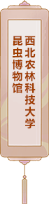 西北農林科技大學昆蟲博物館