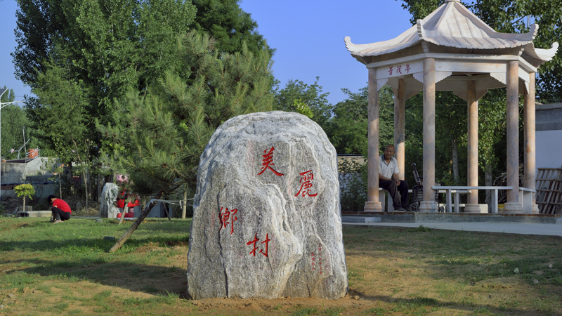 河北經貿大學大力改善人居環境，建設美麗鄉村