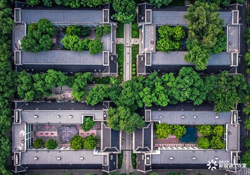 山東大學